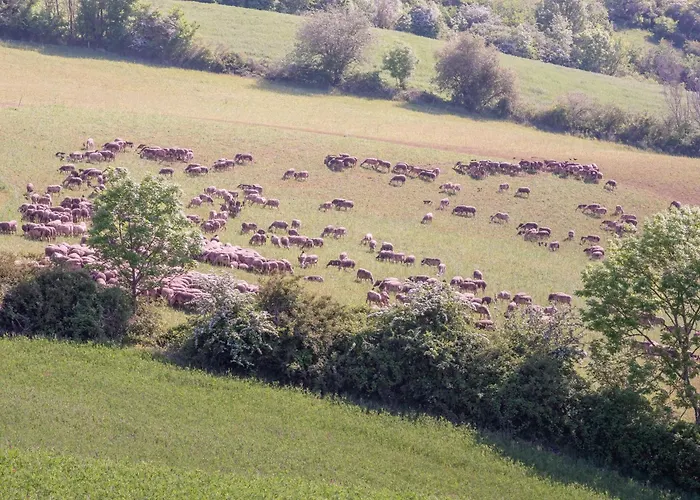 Vue Panoramique 2 Personnes Horizon Lejlighed Millau